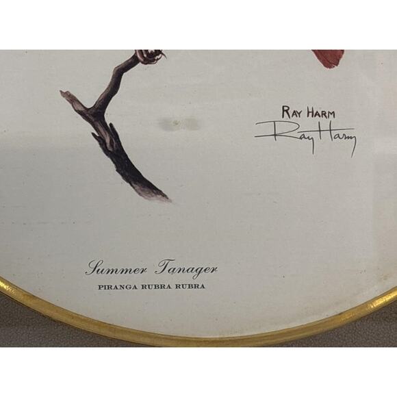 Signed Ray Harm “Summer Tanager” Lithograph – Vintage Framed Wildlife Art - 1963 - Picture 8 of 9